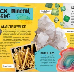 Simon & Schuster Discovery: Rocks And Gems Paperback -ADVANCED SHOP ScreenShot2022 02 03at2.38.47PM