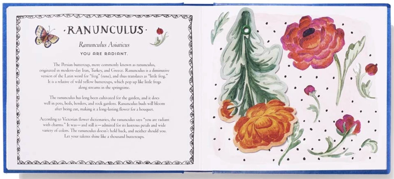 Abrams Happy Day (UpLifting Editions): A Bouquet In A Book Hardcover 2 Abrams Happy Day (UpLifting Editions): A Bouquet In A Book Hardcover - Image 2