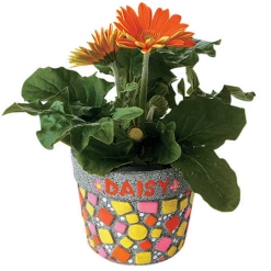 MindWare Paint Your Own Stone: Mosaic Flower Pot 5 MindWare Paint Your Own Stone: Mosaic Flower Pot -ADVANCED SHOP ScreenShot2022 04 29at3.05.24PM
