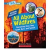 Scholastic All About Wildfires: A True Book - Paperback